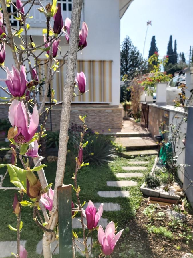 Vila La Perla Della Conca D'Oro Palermo Exteriér fotografie