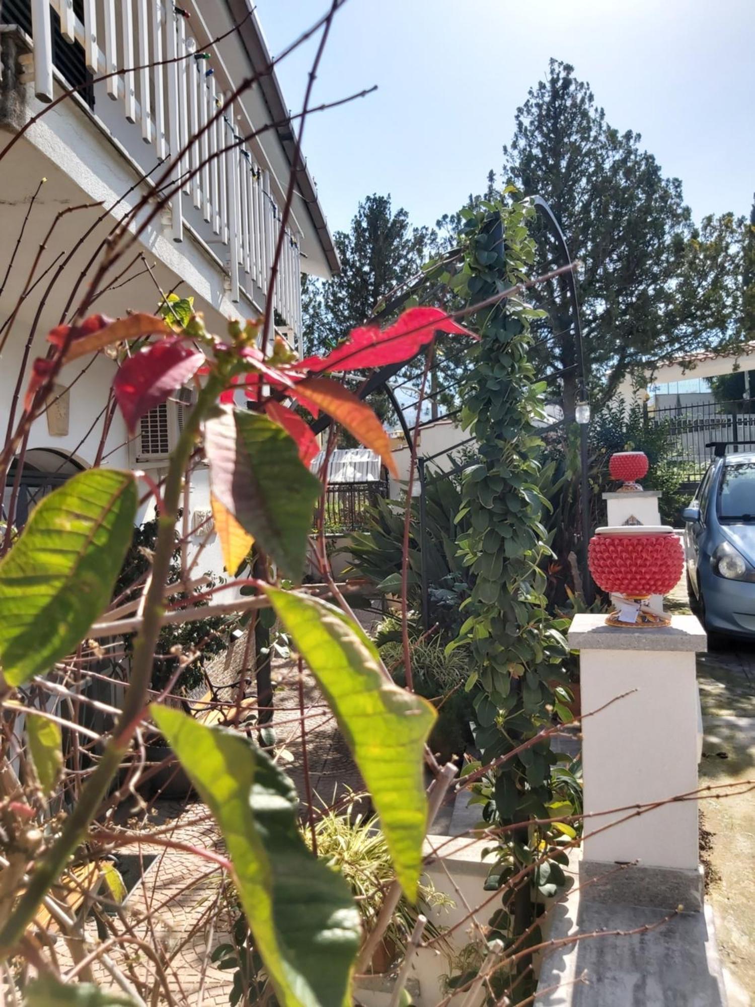 Vila La Perla Della Conca D'Oro Palermo Exteriér fotografie